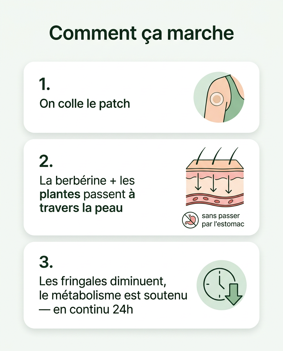 Comment ça marche : 3 étapes